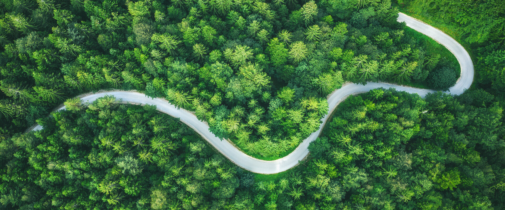 乐鱼
股份可持续发展理念.jpg