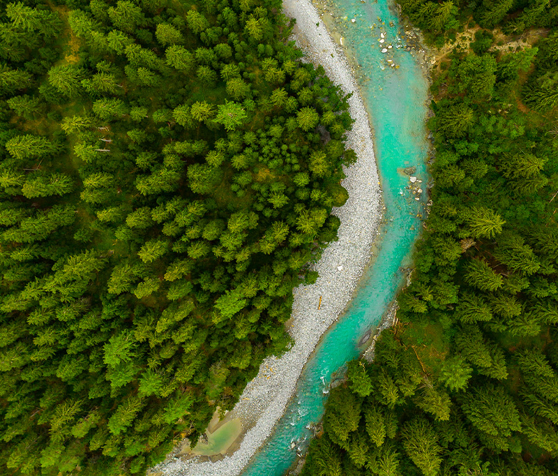 乐鱼
股份可持续发展理念