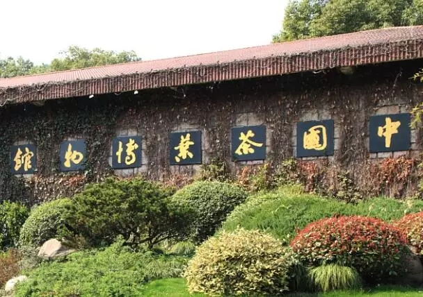 14715030589482017VX5.jpg 01.webp.jpg