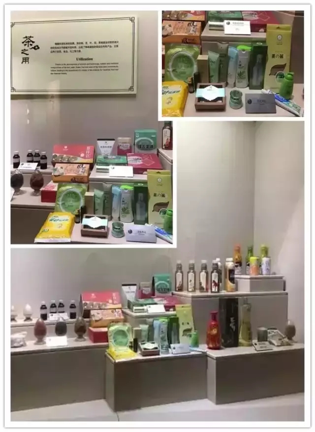 14715033538073994hAM.jpg 04.webp.jpg